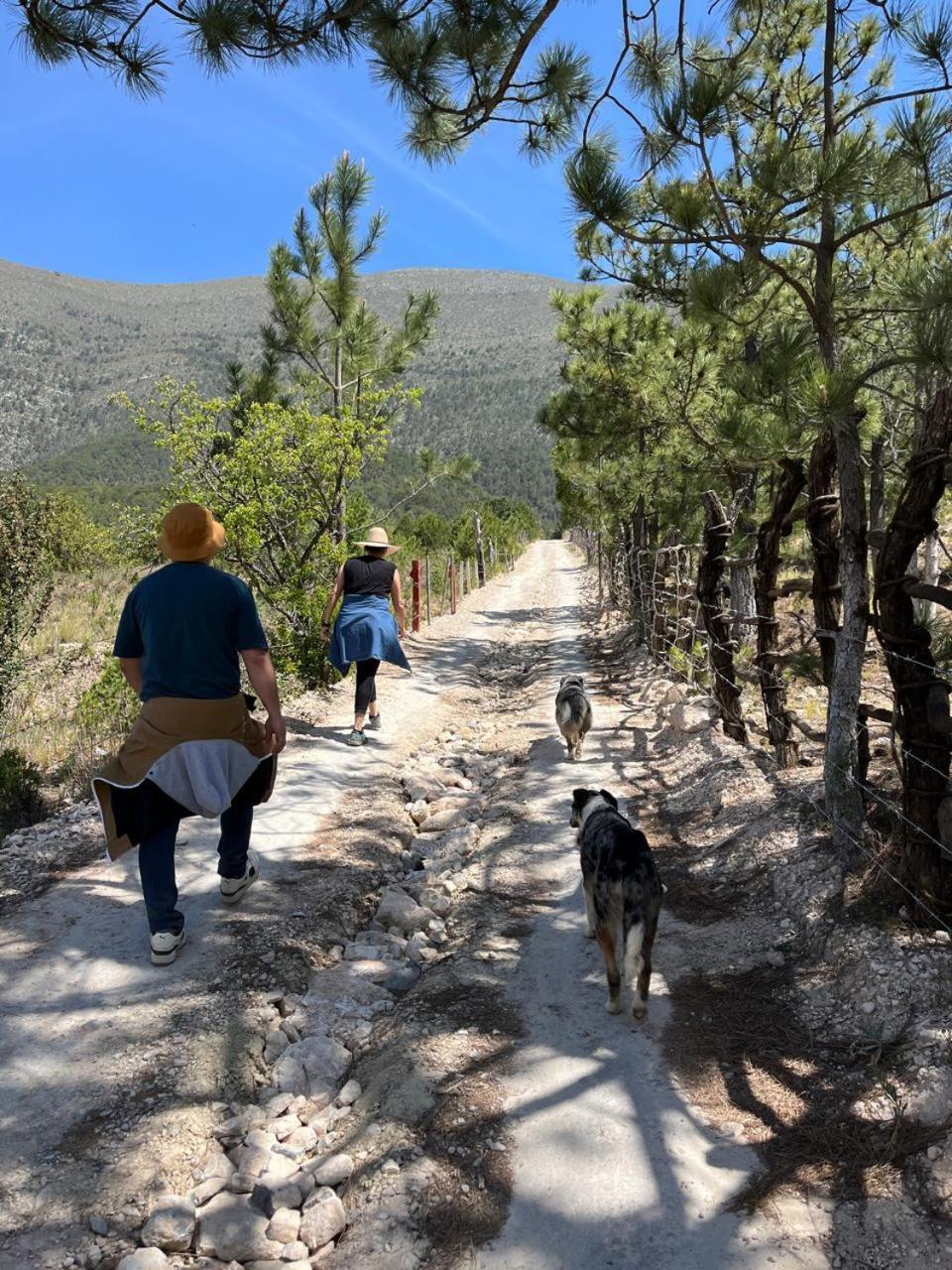 Camping En La Sierra De Arteaga Los Lirios Eksteriør bilde