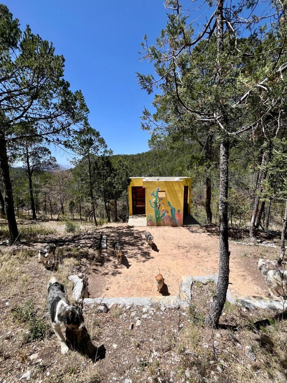 Camping En La Sierra De Arteaga Los Lirios Eksteriør bilde