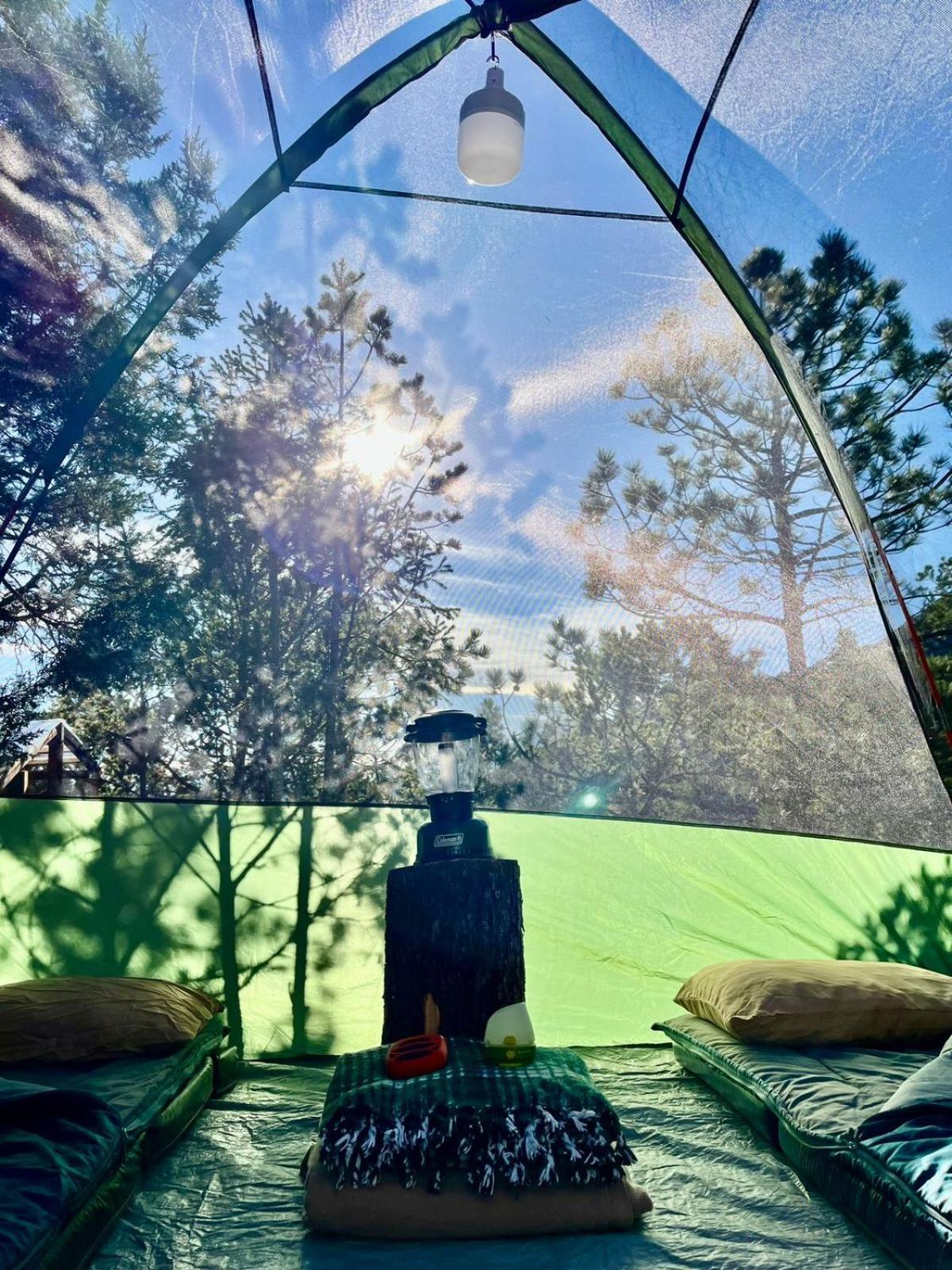 Camping En La Sierra De Arteaga Los Lirios Eksteriør bilde