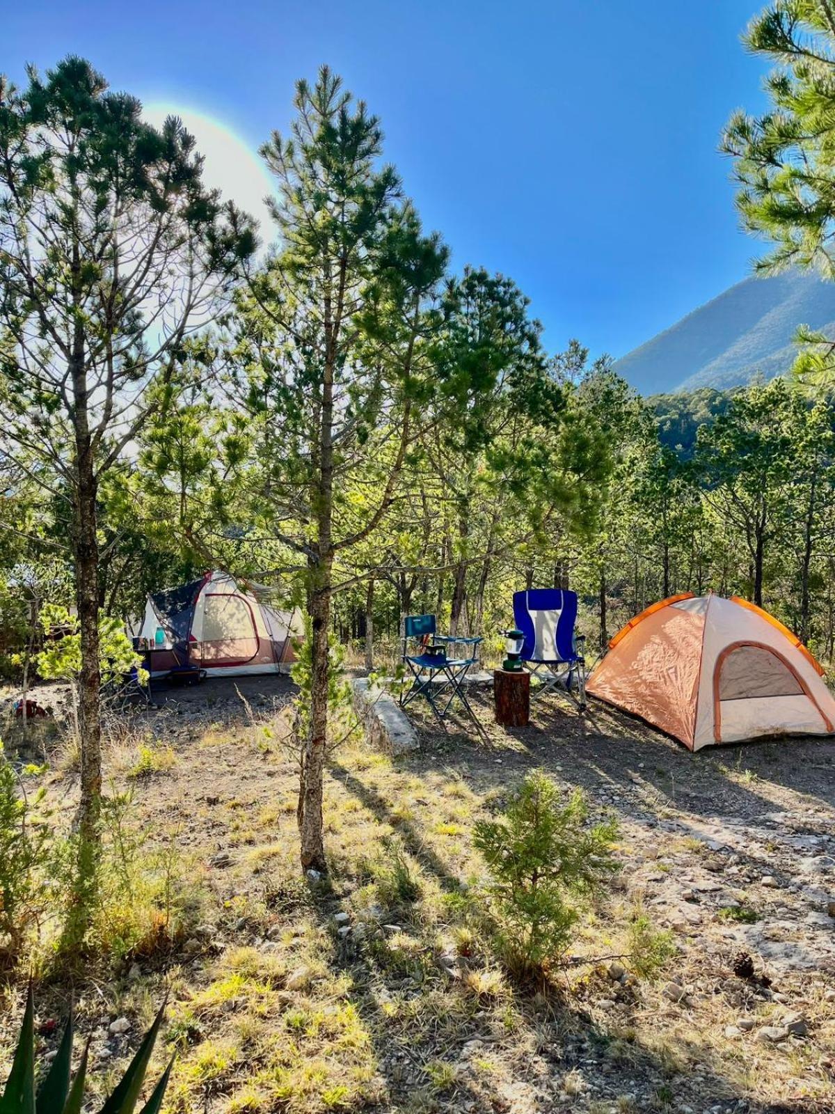 Camping En La Sierra De Arteaga Los Lirios Eksteriør bilde